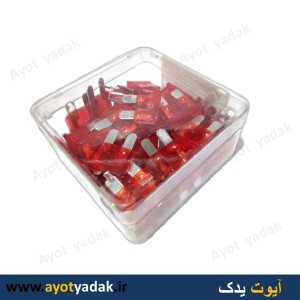 فیوز دو شاخه شیشه ای 10 آمپر ساخت چین (بسته 50 عددی)