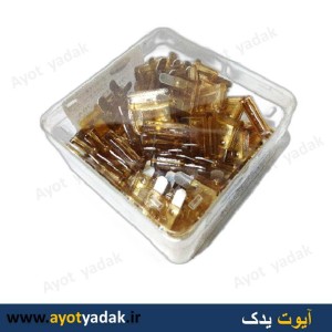 فیوز دو شاخه شیشه ای 20 آمپر ساخت چین (بسته 50 عددی)