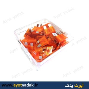 فیوز دو شاخه شیشه ای 40 آمپر ساخت چین (بسته 50 عددی)