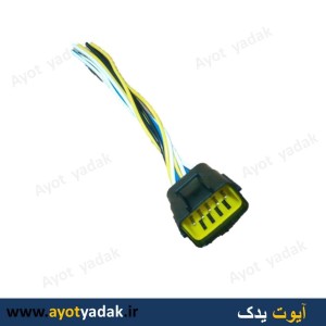 سوکت دسته سیم سوزن پراید ده خانه نری