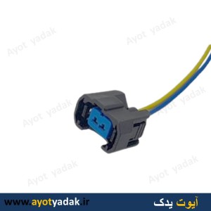 سوکت سوزن گاز نیسان-ارسال رایگان-گارانتی شش ماه-قیمت عمده