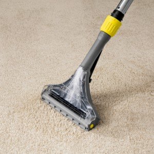مبل شوی کارچر Karcher PUZZI 10/1