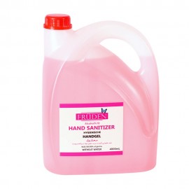 محلول ضدعفونی کننده دست Frudenحجم 4لیتر
