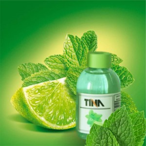 خوشبو کننده هوا Tina 110ml