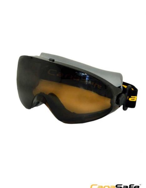 عینک ایمنی کاناسیف مدل XVISIO کد 20122