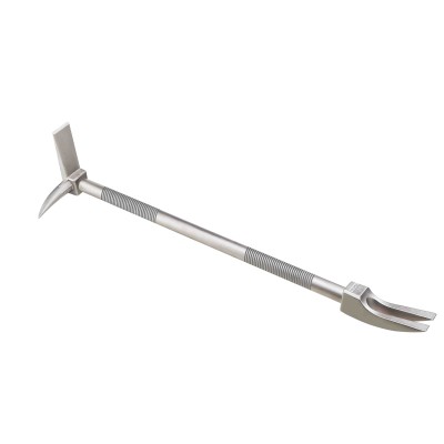 دیلم هالیگان رایزاکس (Raixax)