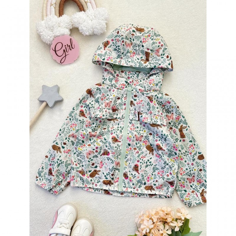 بارونی بهاره