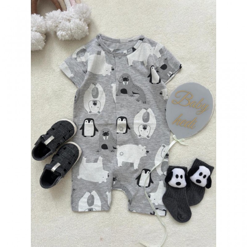 رامپر پنگوئن