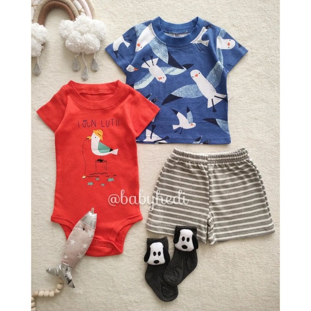 سه تیکه مرغ دریایی