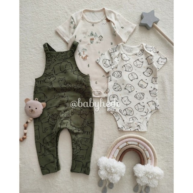 بیلر و بادی جنگل آرام