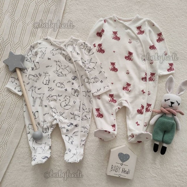 سرهمی های روباه و حیوانات