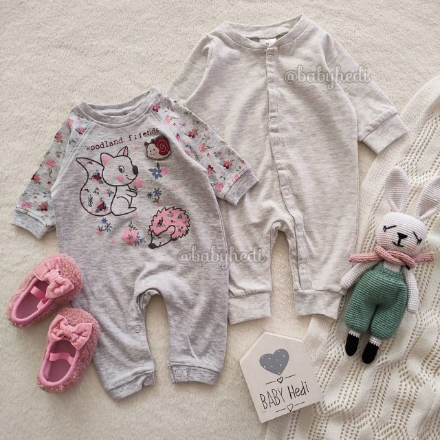 سرهمی سنجاب