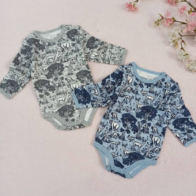 بادی حیوانات آبی و طوسی