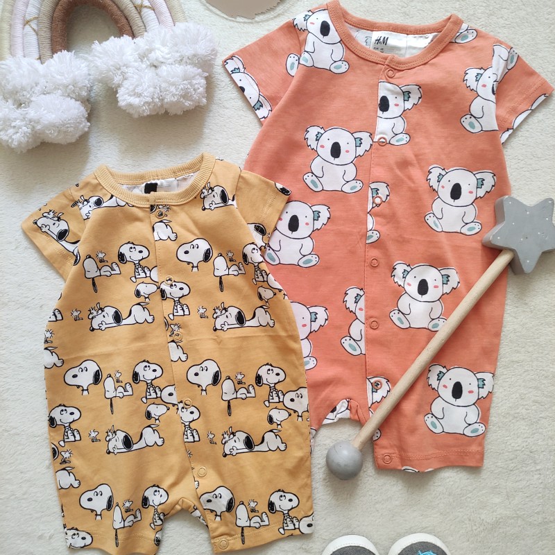 رامپر نخی هاپو و کوآلا