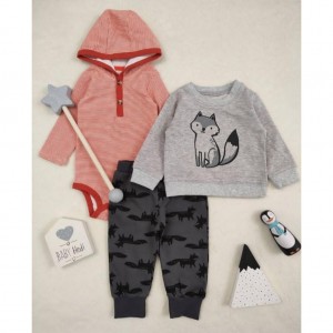 سه تیکه روباه خوش رو