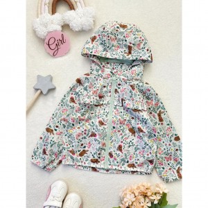 بارونی بهاره