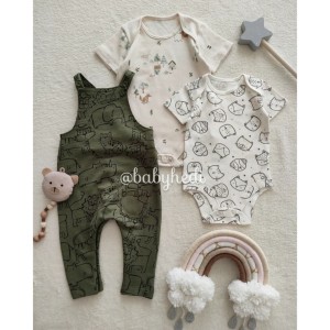 بیلر و بادی جنگل آرام