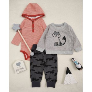 سه تیکه روباه