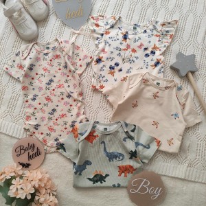 بادی های پرنده، گلدار و دایناسوری