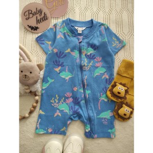 رامپر دلفین