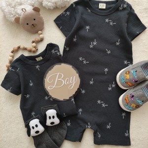 رامپر بیسکوییتی نخل