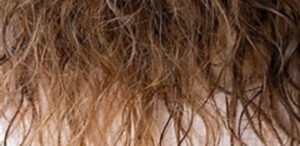چگونه موهای آسیب دیده را با کراتین و محصولات بدون سولفات ترمیم کنیم؟