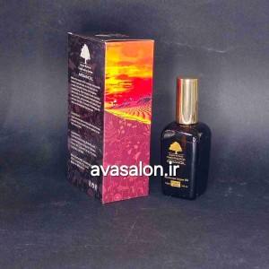 روغن آرگان مراکشی اورجینالMoroccan Argan Oil Moroccan Argan Oil Natural Captivating Series 100 ml