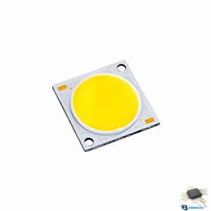 COB 30w 300ma 1919 سفید