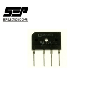 RS603M