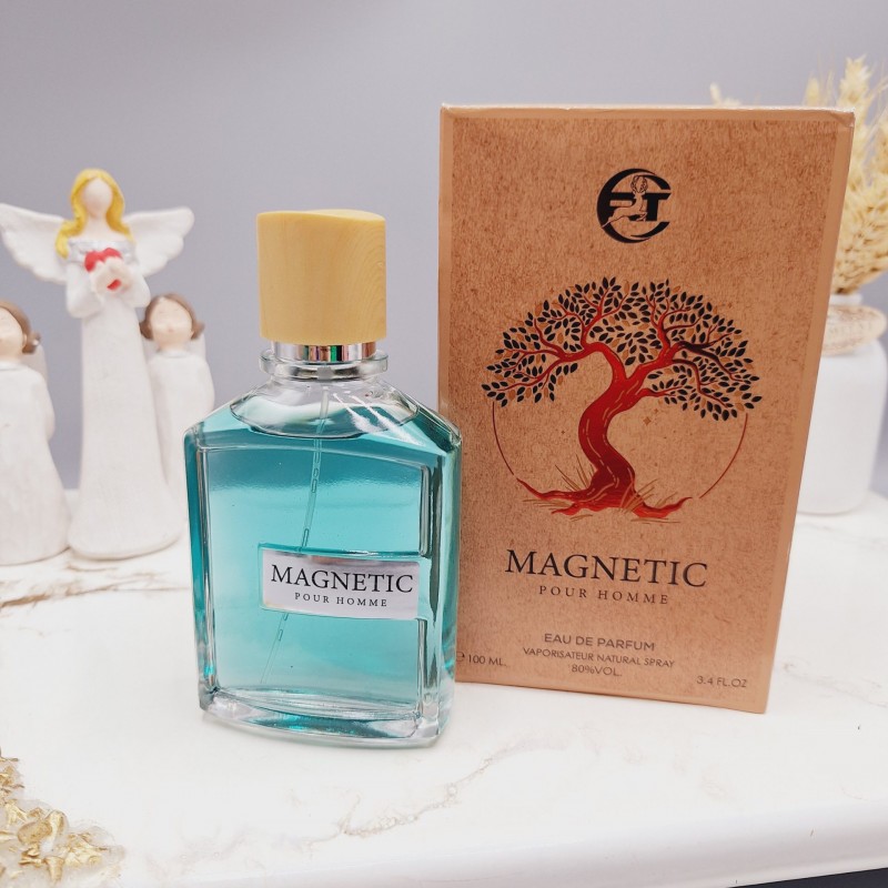 عطر مردانه مگنتیک (Magnetic Pour Homme) مگاماره حجم 100 میلی لیتر