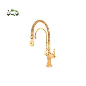 شیر ظرفشویی شاوری دو منظوره سکه مدل آریو