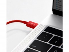 کابل فست شارژ تایپ سی به لایتنینگ بیسوس Baseus Superior Series Fast Charging Data CATLYS-C09 به طول 2 متر و توان 100 وات