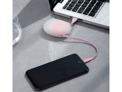 خرید کابل آیفونی بیسوز