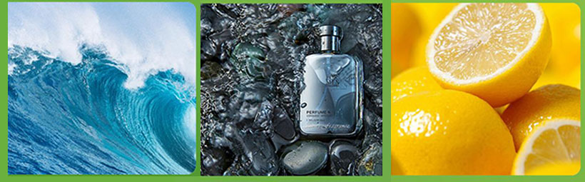 انواع عطرهای خوشبوکننده