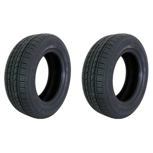 لاستیک خودرو ایران تایر مدل Ronika سایز 205/60R14 - دو حلقه