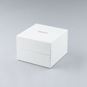 ساعت مچی عقربه‌ای مردانه سیکو مدل SNE525P1