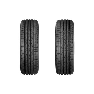 لاستیک خودرو جی تی رادیال مدل SAVERO SUV سایز 225/55R18 - دو حلقه