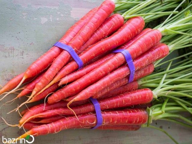 بذر هویج قرمز