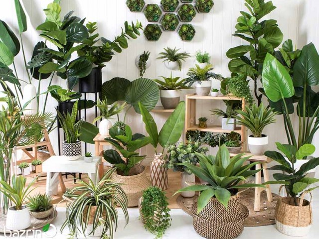 کود کامل گیاهان آپارتمانی