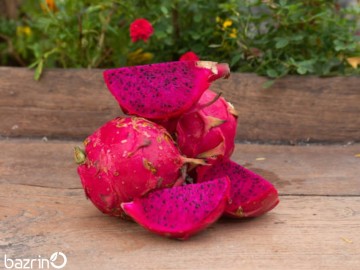 بذر دراگون فروت بنفش