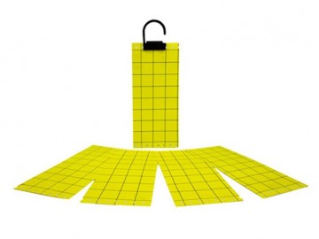 کارت زرد جذب کننده حشرات