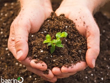 خاک و بستر کشت سبک بذرینو