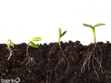 کود هیومیک اسید