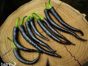 بذر فلفل قلمی تند سیاه