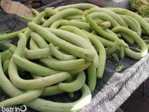 بذر خیار چنبر