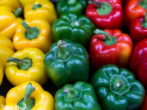 بذر فلفل دلمه ای میکس F1