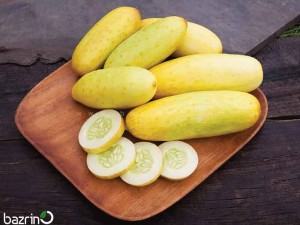 بذر خیار زرد بوته ای