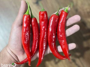 بذر فلفل قلمی تند قرمز آمازون
