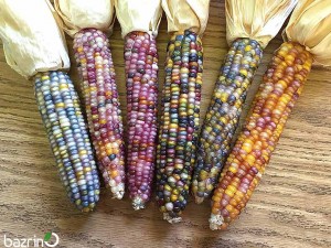 بذر پاپ کرن رنگین کمانی