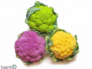 بذر گل کلم رنگی میکس